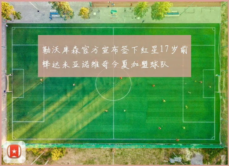 勒沃库森官方宣布签下红星17岁前锋达米亚诺维奇今夏加盟球队